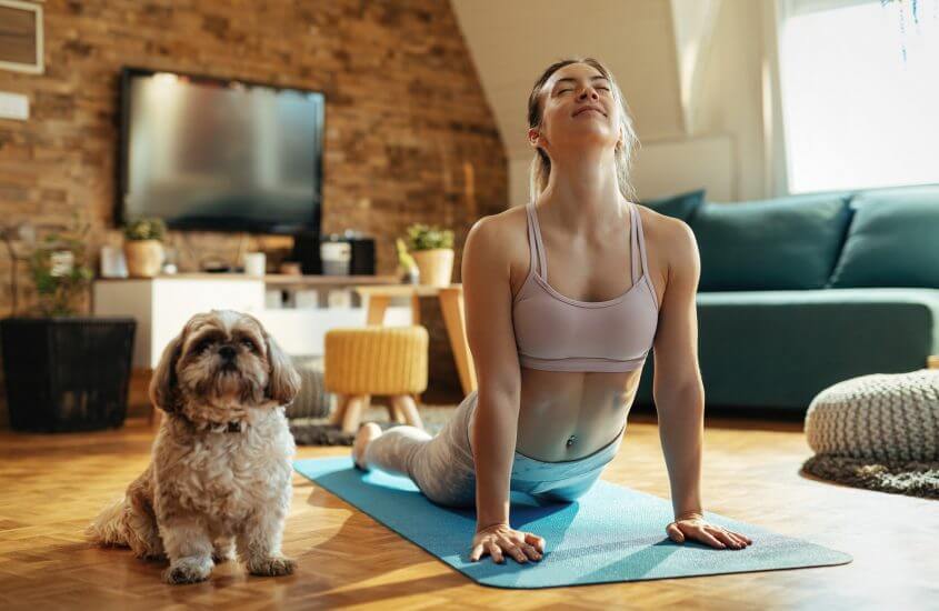 How you and your Pet Can De-Stress DURING THE WANING DAYS OF THE PANDEMIC