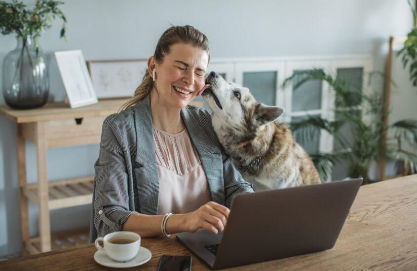 HOW TO BRING YOUR DOG TO WORK